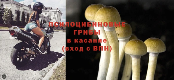 молекула духа Баксан
